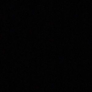 Meet your Posher, Dinasti